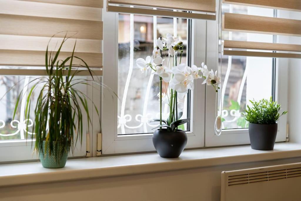 Train 23 Apartment Beograd Ngoại thất bức ảnh